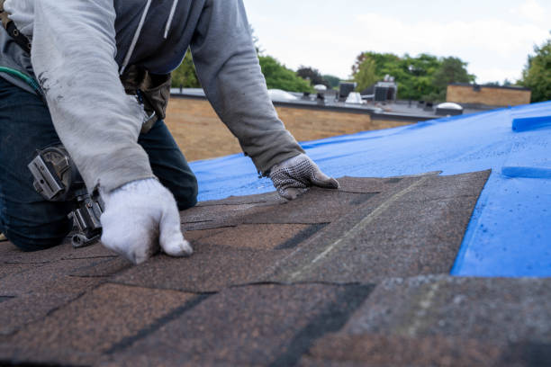 Best Roof Gutter Cleaning  in Cambridge Springs, PA